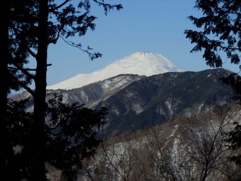 堀山の家前より望む富士山