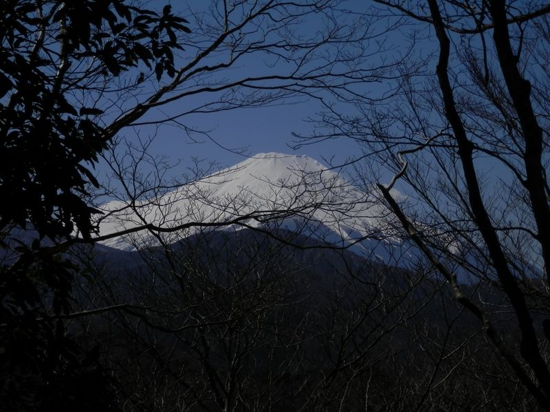 椿丸より、富士山を望む