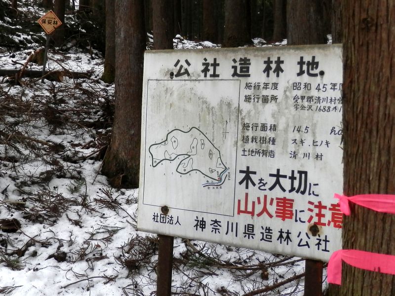 金沢左岸に立つ造林公社の看板
