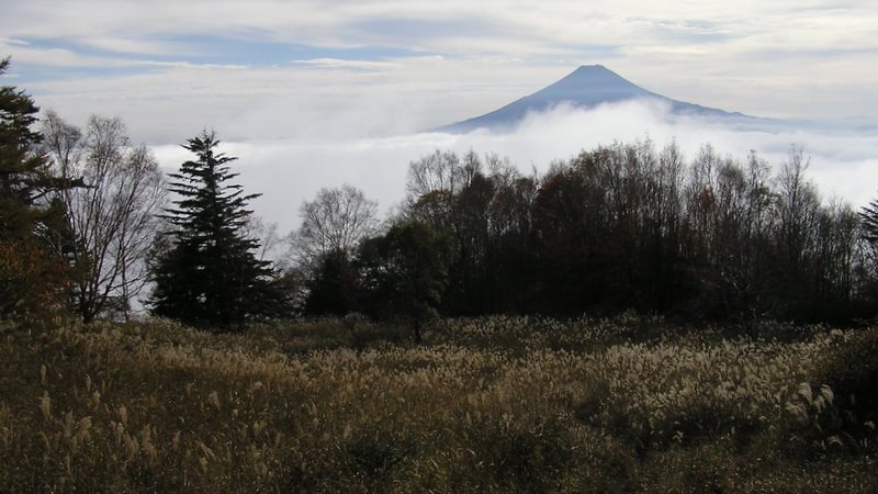 雁ヶ腹摺山からススキ野の向こうに望む富士山