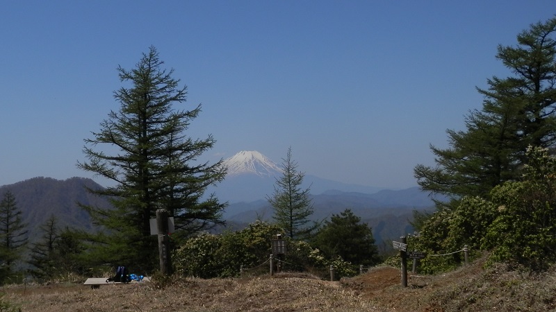 新緑の姫次より、富士山を望む