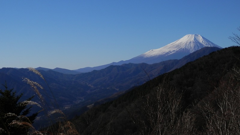 菜畑山より望む白銀の富士山