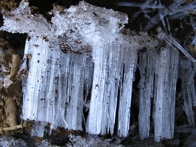 イタツミ尾根から大山 -- きれいな霜柱